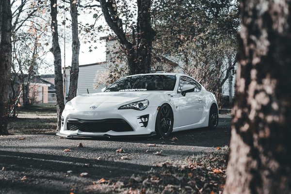 Crafting a Nutrient-Rich Diet: Essential Tips for Feeding a Cat with Hyperthyroidism